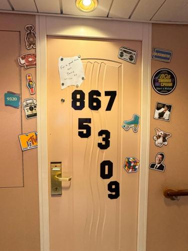 TEC-2024-DOORS-288